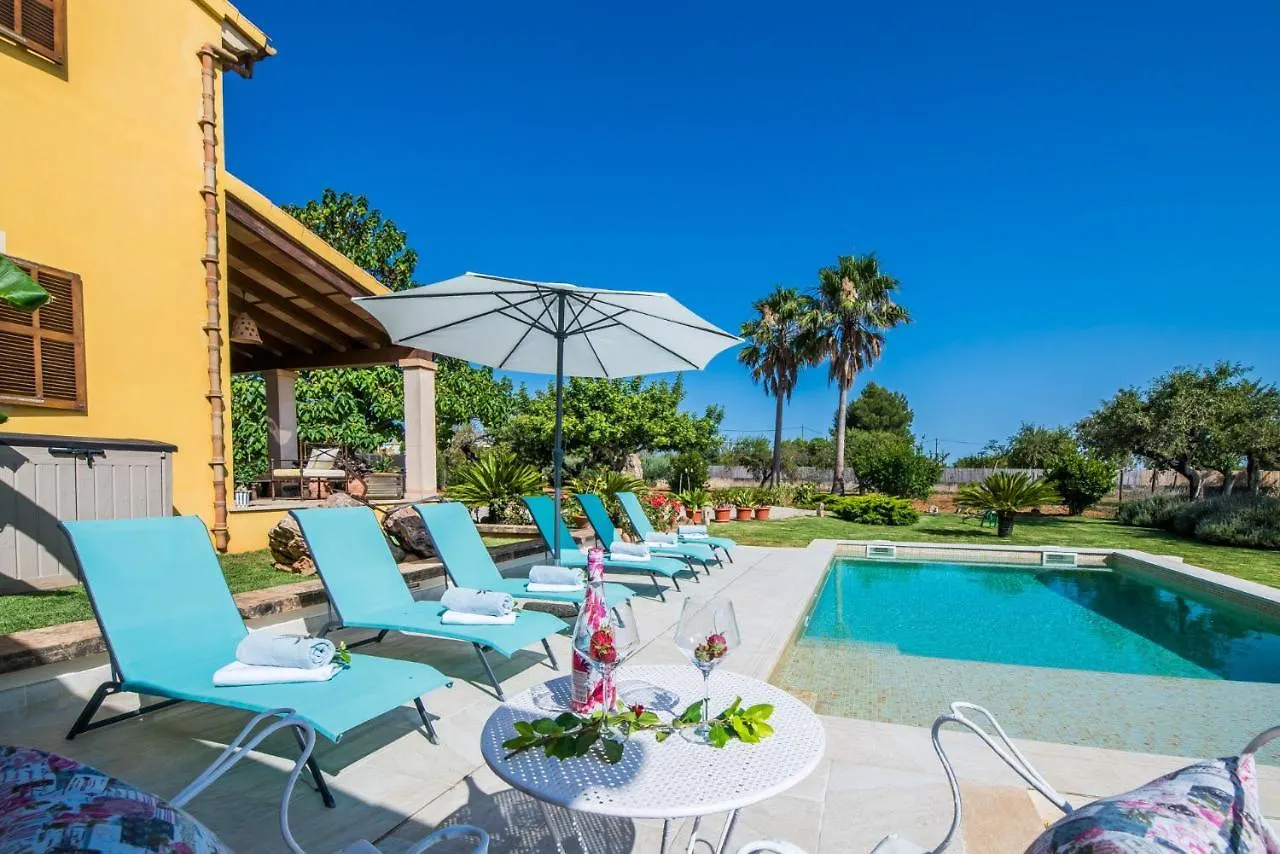 Ideal Property Mallorca - Sa Tanqueta Inca