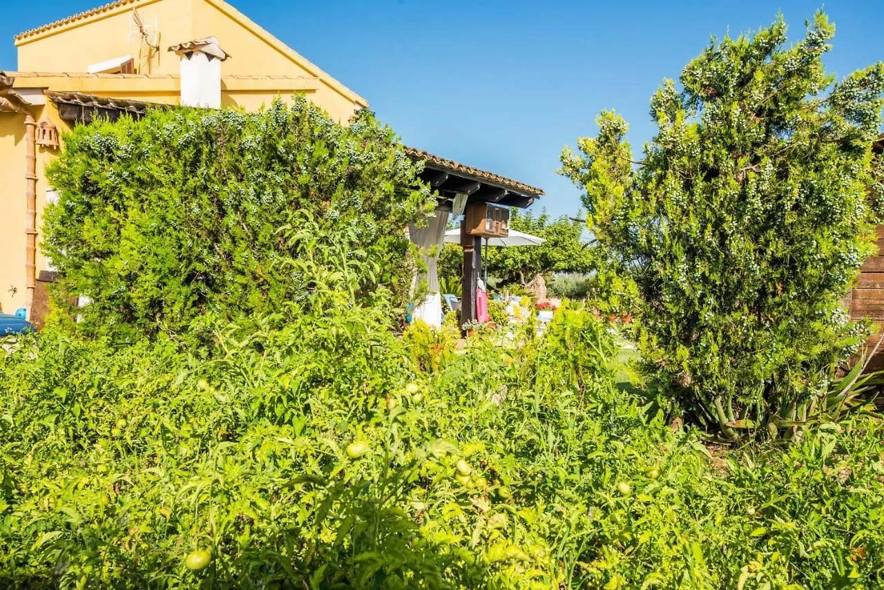 Ideal Property Mallorca - Sa Tanqueta Inca  Country house